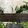 Gạch Vietceramics 312MJWM