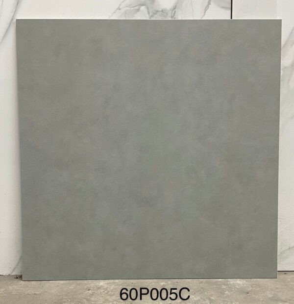 Gạch Superstone 60P005C